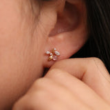 Cubic dew branch earrings