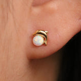 Opal Dolphin earrings
