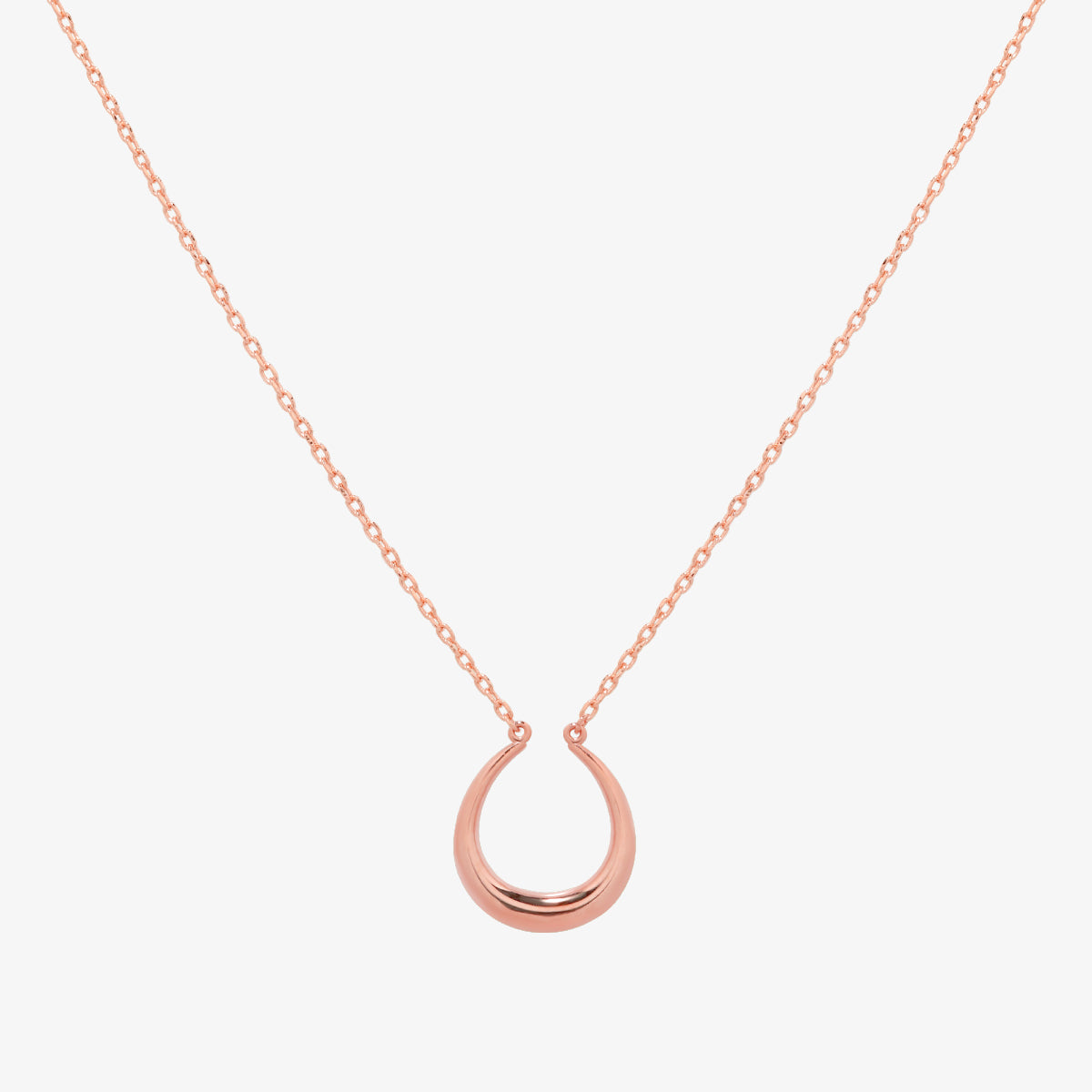 Horseshoe style necklace