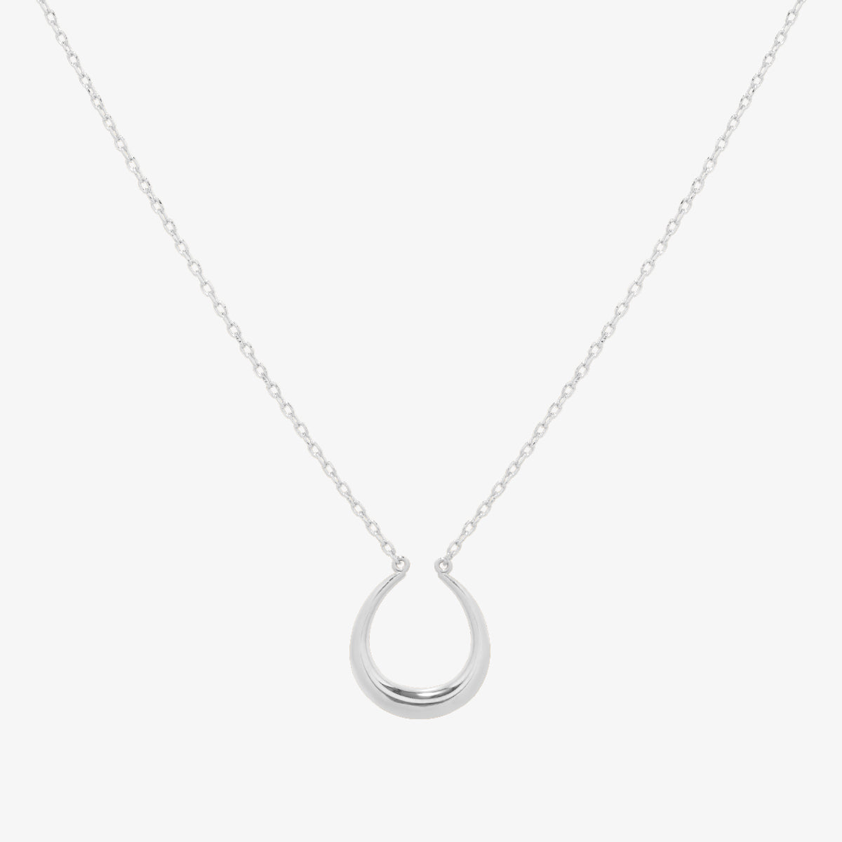 Horseshoe style necklace